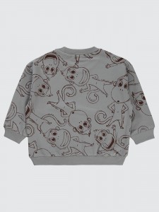 Gray Boys-Sweatshirt