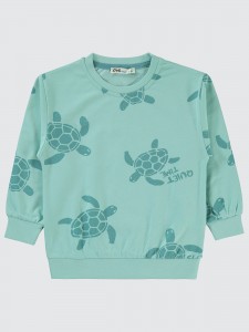 Turquoise Boys-Sweatshirt