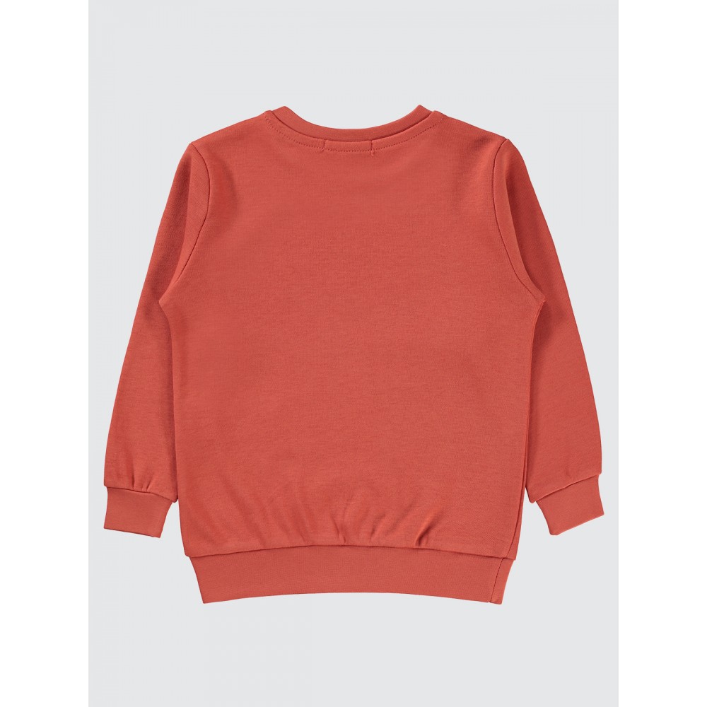 Terracotta Boys-Sweatshirt Terracotta Boys-Sweatshirt