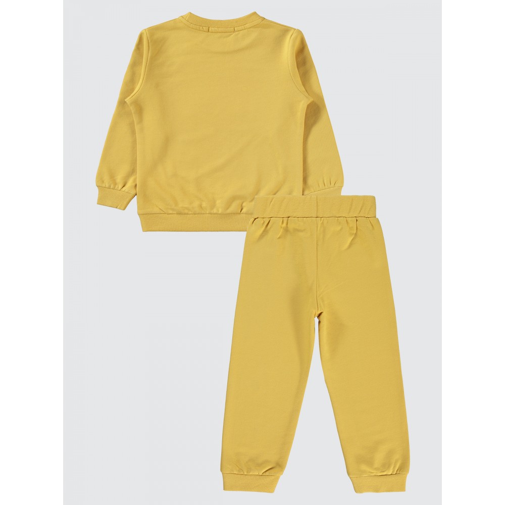 Mustard Boys-Tracksuit Mustard Boys-Tracksuit