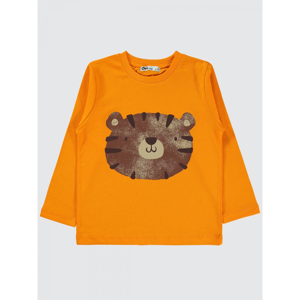 Gray Boys-Sample Product Gray Boys-Sample Product