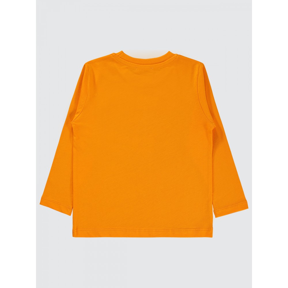 Gray Boys-Sample Product Gray Boys-Sample Product