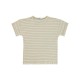 Brown Boys-T-Shirt Brown Boys-T-Shirt