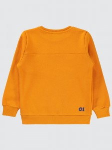 Light Orange Boys-Sweatshirt
