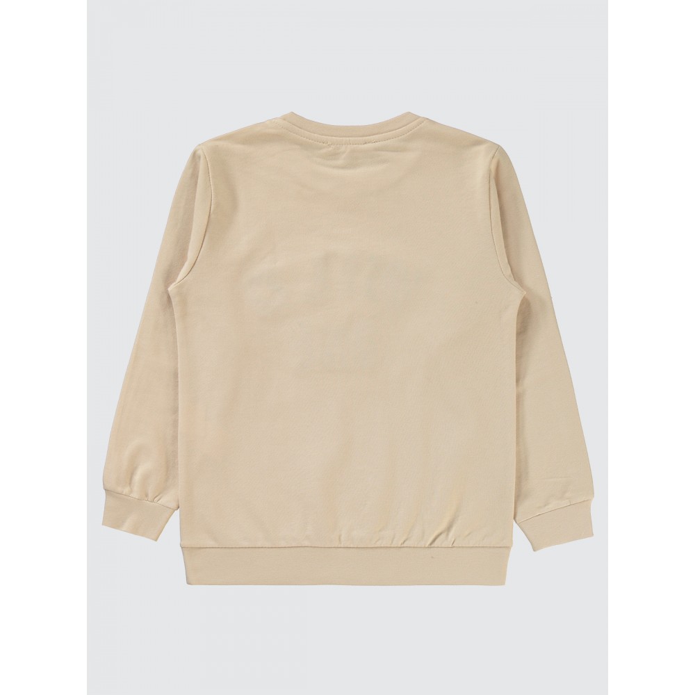 Stone Color Boys-Sweatshirt Stone Color Boys-Sweatshirt