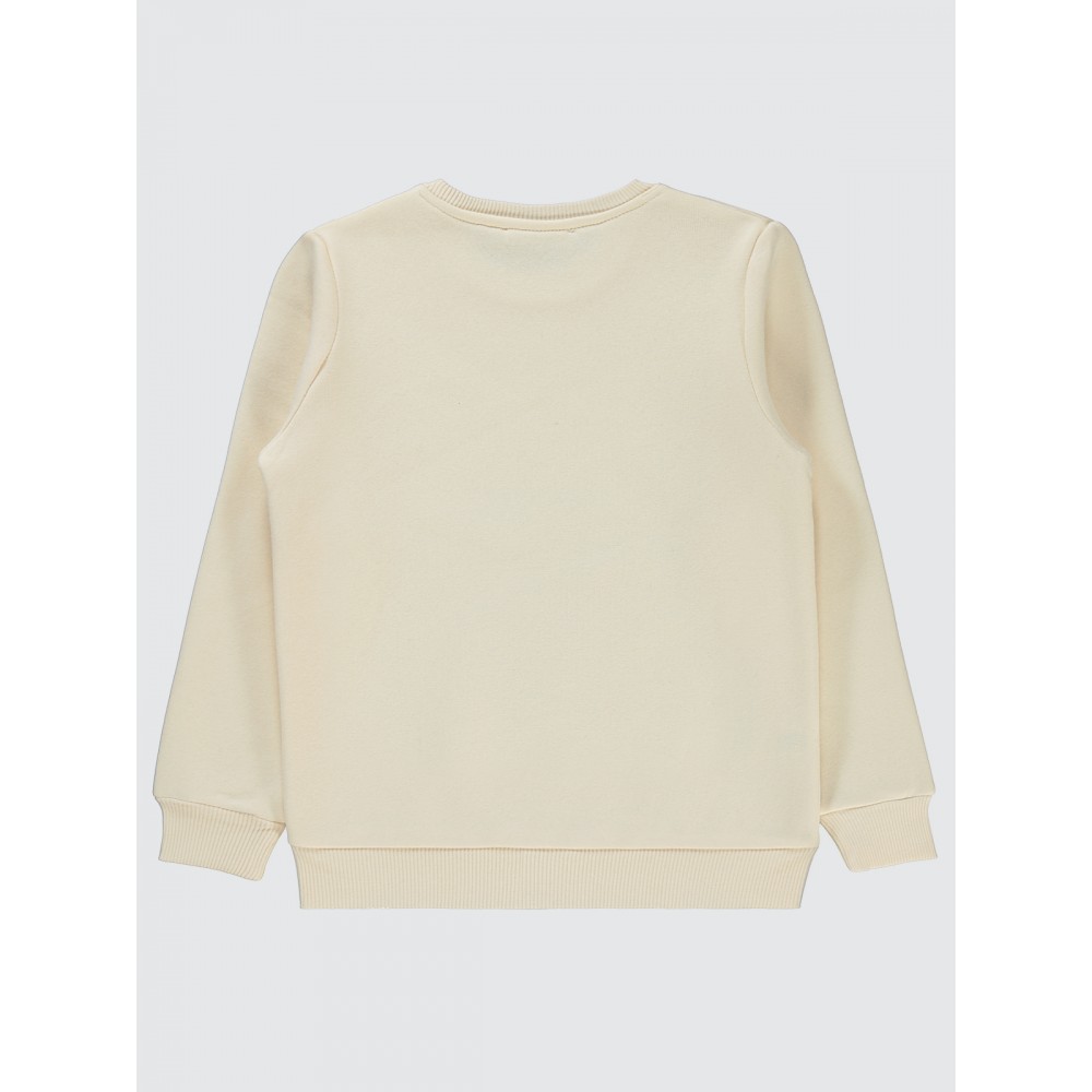 Stone Color Boys-Sweatshirt Stone Color Boys-Sweatshirt