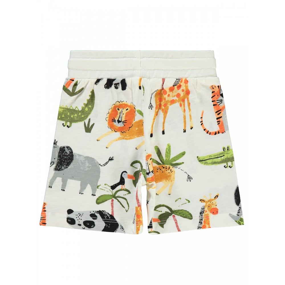 Ecru Boys-Capri Pants Ecru Boys-Capri Pants