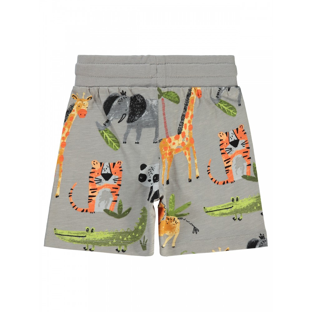 Gray Boys-Capri Pants Gray Boys-Capri Pants