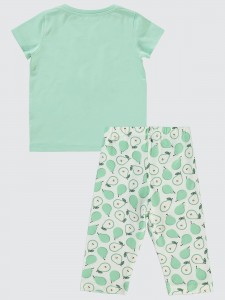 Bio Mint Set